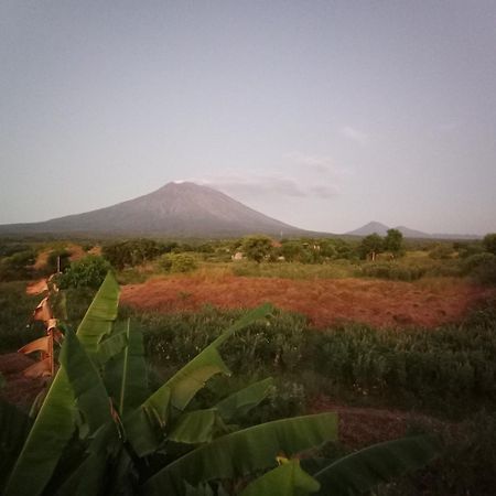 Khrisna Sunrise Homestay Tulamben الغرفة الصورة
