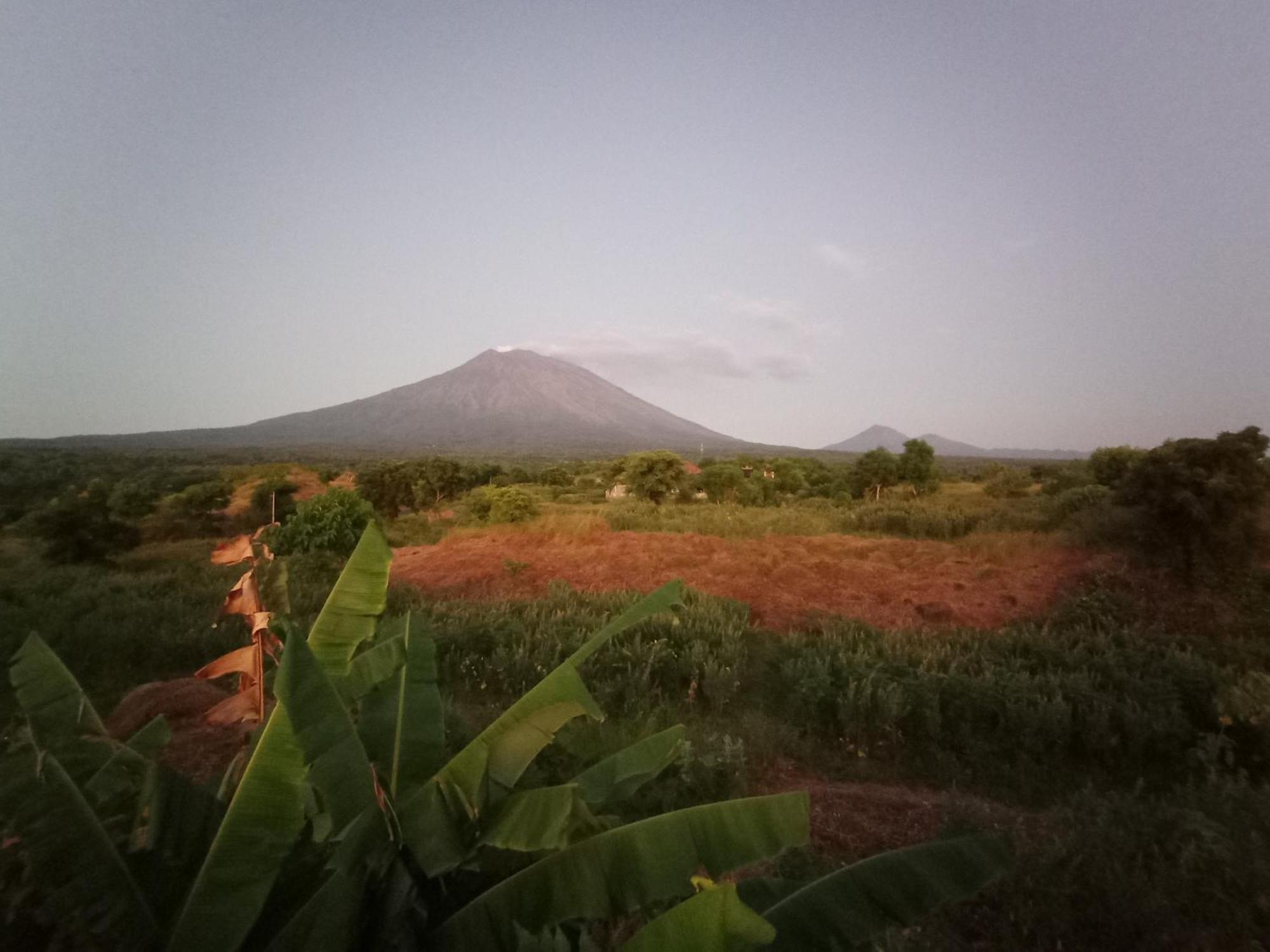 Khrisna Sunrise Homestay Tulamben الغرفة الصورة
