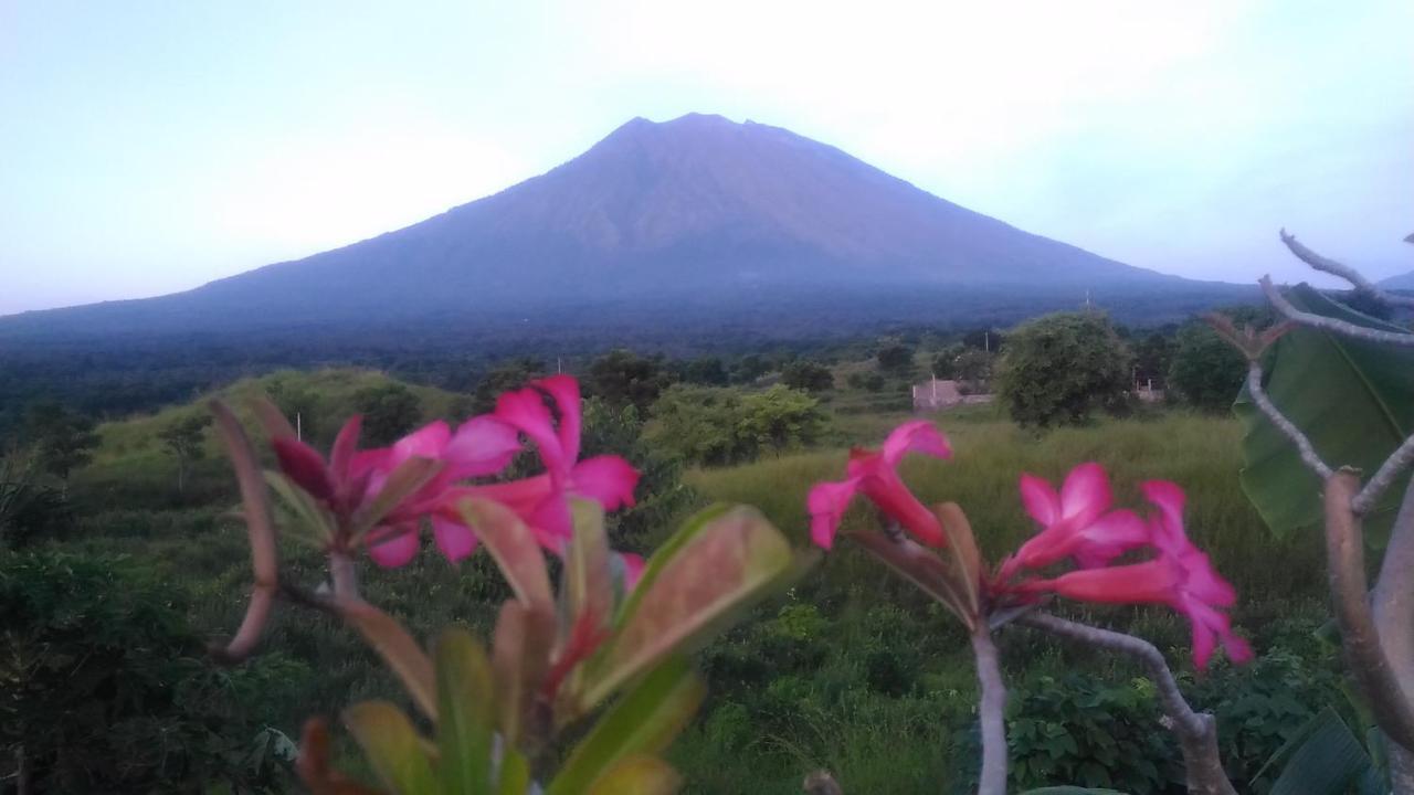 Khrisna Sunrise Homestay Tulamben المظهر الخارجي الصورة